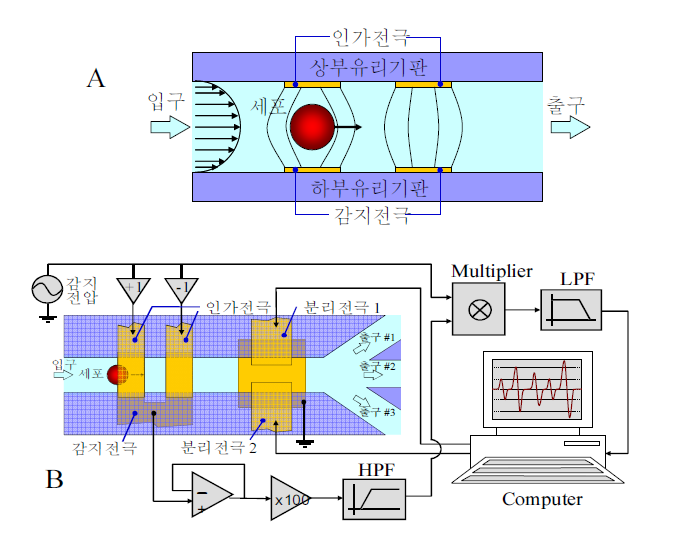 (A) 3D 구조로 설계된 감지전극과 인가전극의 측면도, (B) 임피던스이용세포분리기의 상 면도 및 진폭변조방식의 신호처리회로와 DEP 방식의 세포분리 개략도.