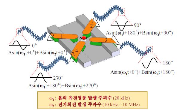 음의 유전영동신호와 회전교류신호가 중첩되어 인가된 3차원 십자모양 구조의 전극 개념도.