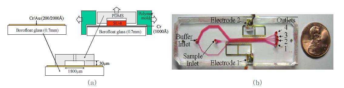 (a) 평면교차전극을 포함하고 있는 유리기판과 채널이 형성된 PDMS를 이용한 측면방향 유전영동 세포분리기 제작과정 (b) 제작된 측면방향 유전영동 세포분리기