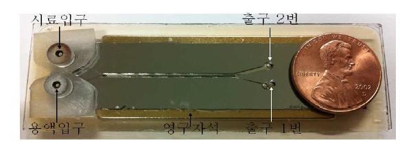 제작된 CTCs 분리기.