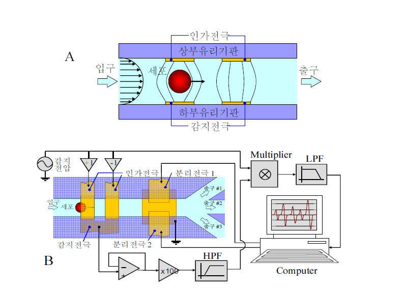 (A) 3D 구조로 설계된 감지전극과 인가전극의 측면도, (B) 임피던스이용세포분리기의 상 면도 및 진폭변조방식의 신호처리회로와 DEP 방식의 세포분리 개략도.