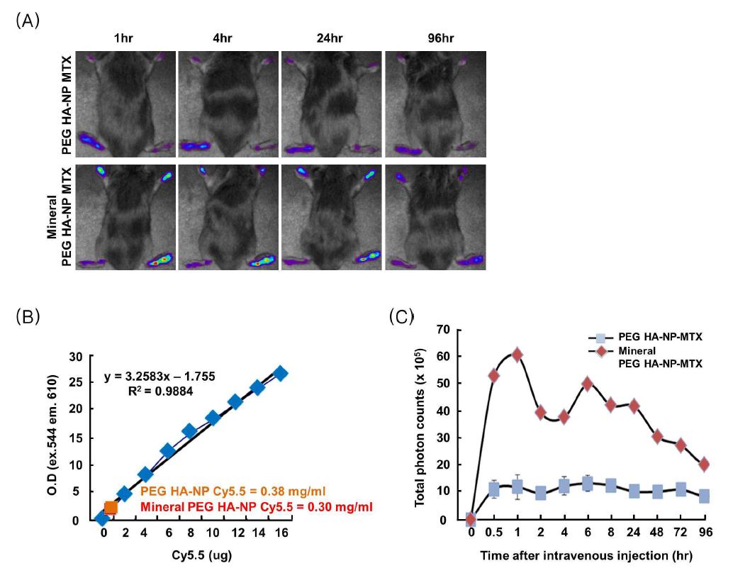 Targeted delivery of HANP into arthritis tissue in vivo.