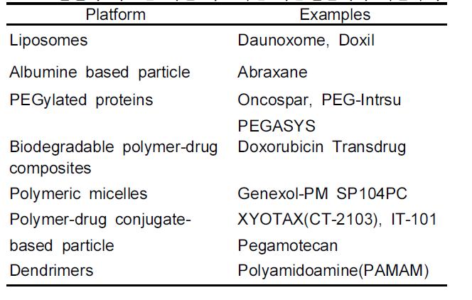 전신적 치료를 위한 나노기반 약물전달체의 개발사례