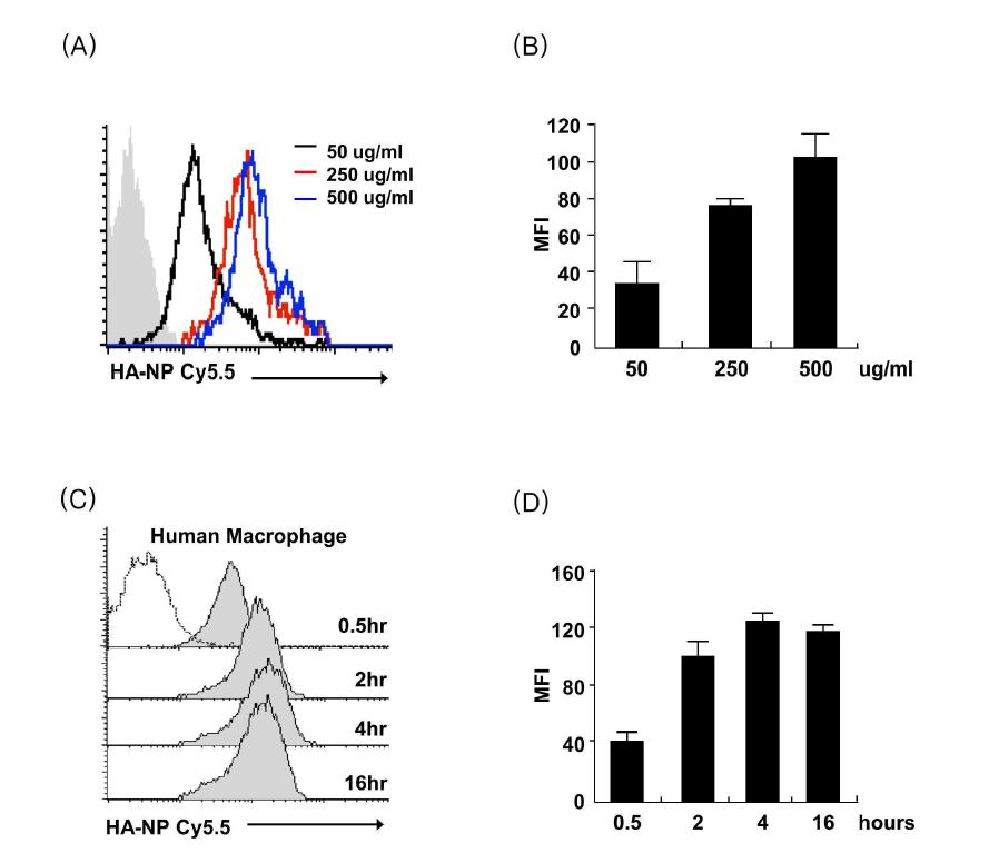 Internalization of HA-NP into human macrophage is dose andtime dependant manner.