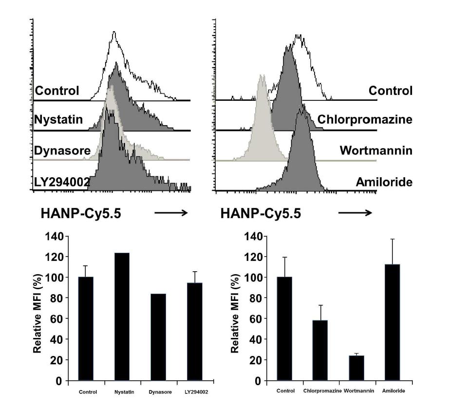 Effect of endocytosis inhibitors on the internalization of HA-NP into human monocyte derived macrophage.