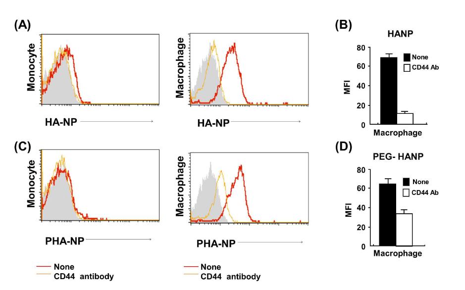 Inhibition of cellular uptake of HA nanoparticles. Uptake of HA-NP and PEG-HANP were effectively blocked when cell were pretreated with anti-CD44 antibody.