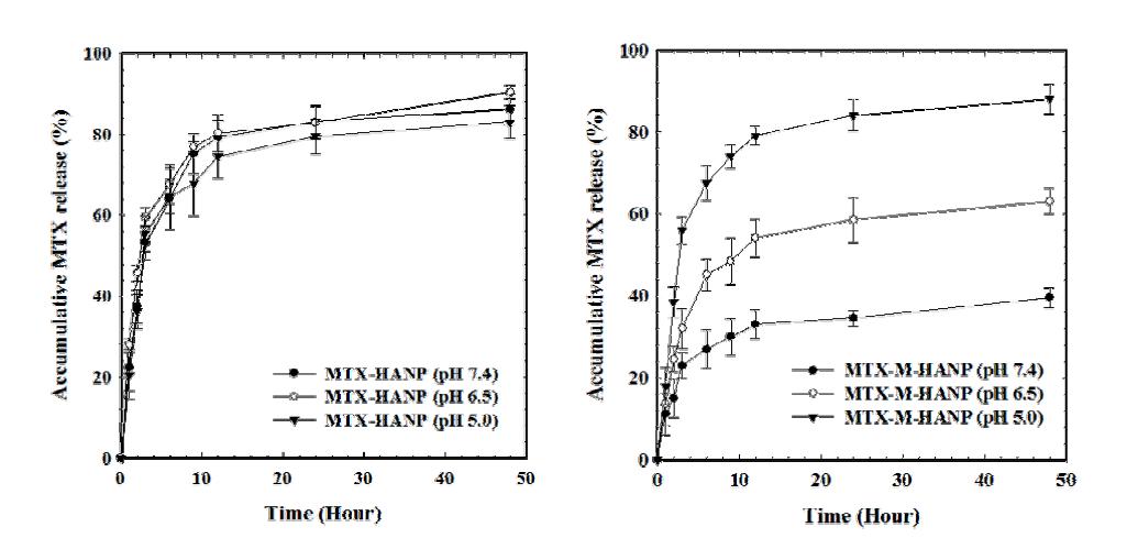 pH에 따른 MTX봉입 히알루론산 나노입자(좌)와 인산칼슘으로 강화된 MTX봉입 히알루론산 나노입자(우)의 약물방출거동.