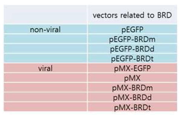형질변환을 통한 BRG1-BRD 발현을 구현하기 위해 제작된 벡터