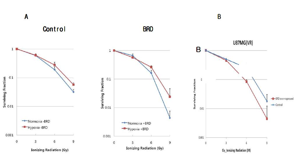 Clonogenic assay를 통한 BRG1-BRD 과발현된 U87MG의 방사선 민감도 평가. A. 플라스미드 벡터를 이용한 hypoxia와 normoxia 상태에서의 대조군 (control)과 BRG1-BRD 과발현 세포의 방사선 민감도 평가. B. 바이러스 벡터를 이용한 대조군과 BRG1-BRD 과발현시킨 세포의 방사선 민감도 평가.