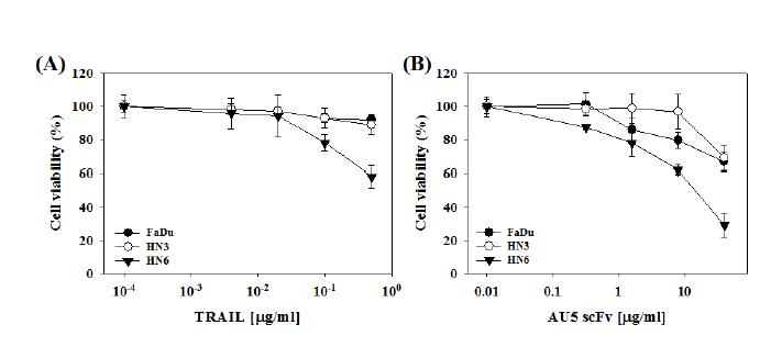 두경부암 세포주에서 항-DR5 AU5 scFv와 TRAIL의 세 포 사멸능 평가.
