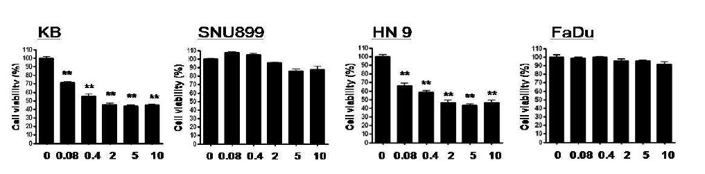 두경부암 세포주에서 AY4 의 세포사멸 능 평가. 두경부암 세포주인 KB, SNU899, HN9, FaDu 에서AY4 0.04, 0.8, 2, 5, 10ug/ml를 처리한 후 MTT 분석을 통해 세포사멸 능을 조사
