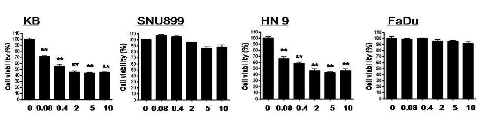 두경부암 세포주에서 AY4 의 세포사멸 능 평가. 두경부암 세포주인 KB, SNU899, HN9, FaDu 에서AY4 0.04, 0.8, 2, 5, 10ug/ml를 처리한 후 MTT 분석을 통해 세포사멸 능을 조사