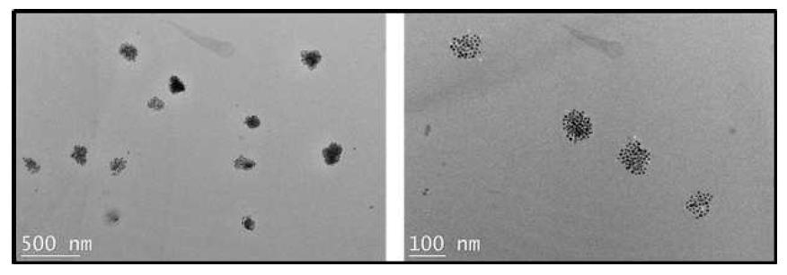 #4-1 조건의 자성나노마이셀의 TEM 이미지