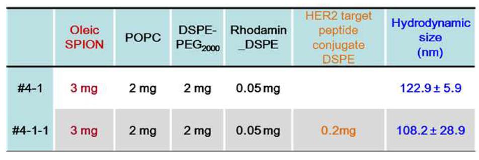 HER2 펩타이드 압타머가 결합된 자성나노마이셀 합성 조건 및 size