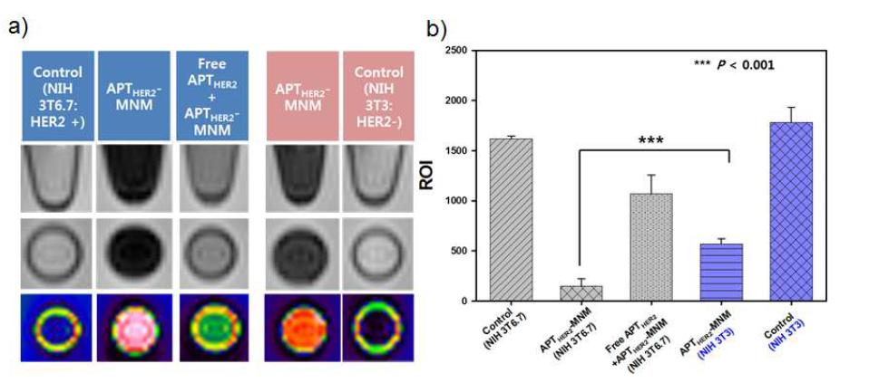 a) APTHER2-MNM의 NIH3T6.7세포에서의 competiton study 및 NIH3T3세포에서의 MRI 이미지 b) MRI intensity