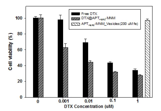 DTX@APTHER2-MNM의 세포사멸효과