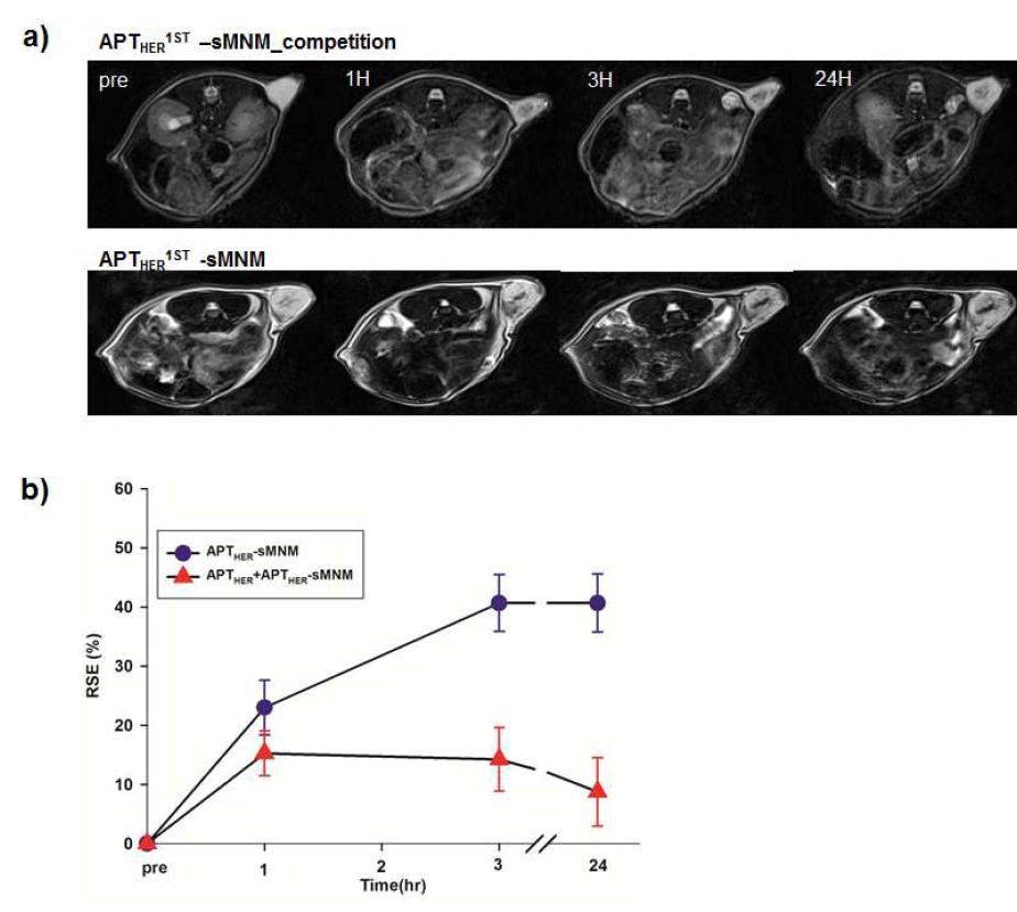 APTHER2-MNM의 In vivo competition study