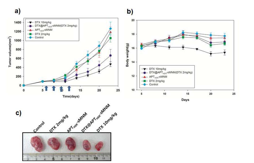 a) DTX@APTHER2-MNM의 NIH3T6.7 동물 모델에서 치료효과 그래프 b) 각 그룹별mouse의 체중변화 그래프 c) 동물 치료효과 실험후 적출한 암 조직의 사진