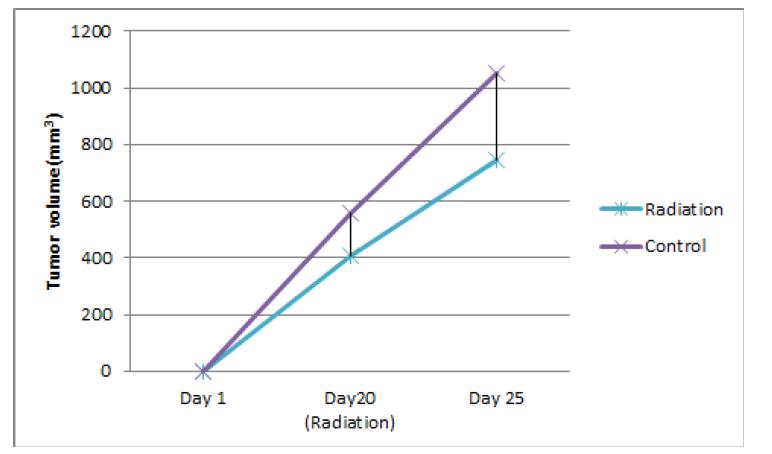 NIH3T6.7 암동물 모델에서의 radiation 치료효과