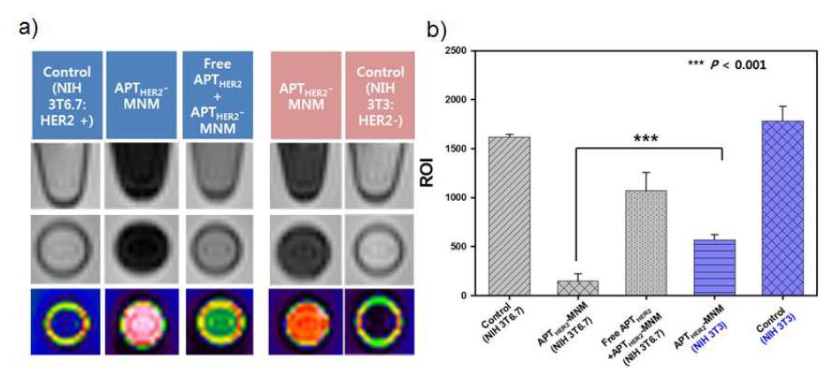 a) APTHER2-MNM의 NIH3T6.7세포에서의 competiton study 및 NIH3T3세포에서의 MRI 이미지 b) MRI intensity