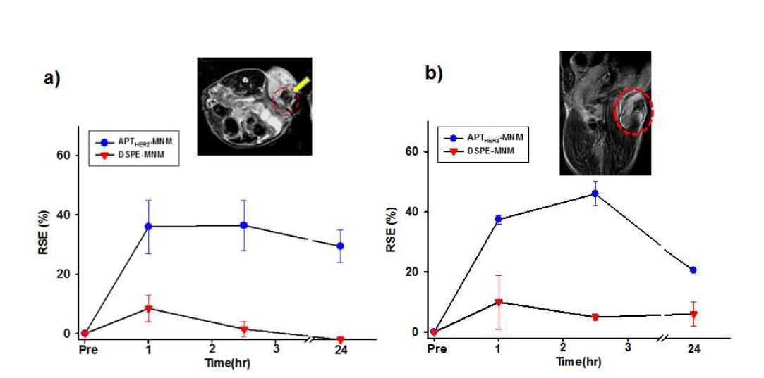 NIH3T6.7 동물 모델에서 DSPE-MNM과 APTHER2-MNM의 암조직에서의 T2 신호세기 비교