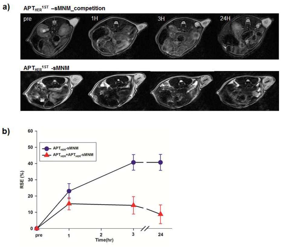 APTHER2-MNM의 In vivo competition study