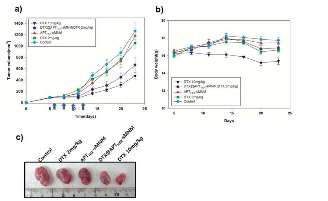 a) DTX@APTHER2-MNM의 NIH3T6.7 동물 모델에서 치료효과 그래프 b) 각 그룹별 mouse의 체중변화 그래프 c) 동물 치료효과 실험후 적출한 암 조직의 사진