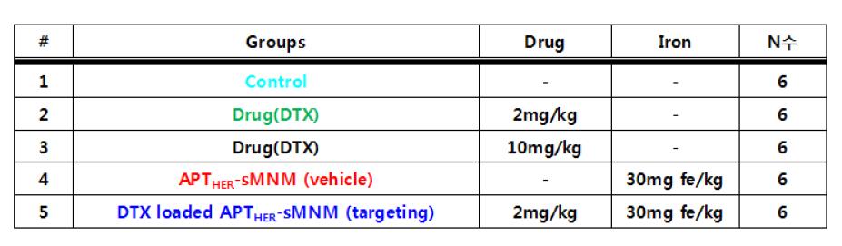 DTX@APTHER2-MNM의 치료효과 판정을 위한 그룹