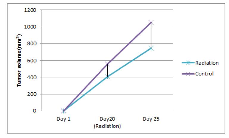 NIH3T6.7 암동물 모델에서의 radiation 치료효과