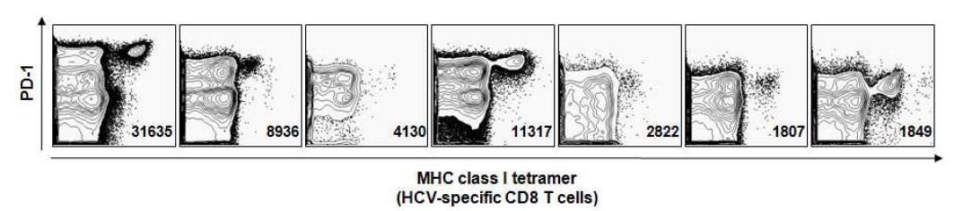 7명의 만성 C형간염 환자 PBMC를 MHC class I tetramer와anti-PD-1 항체로 형광염색하고 multicolor flow cytometry를 수행한 결과, 모든 만성 C형간염 환자의 HCV-특이 T세포가 PD-1을 매우 강하게 발현함