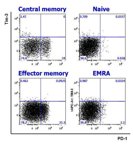 CD45RA 및 CCR7 발현양상을 기준으로 하여 CD8 T세포를 Naive, central memory, effector memory, EMRA로 구분하여 gating한 후, PD-1과 Tim-3의 발현 양상을 분석한 결과. PD-1은 central memory 및 effector memory에서 발현하고, Tim-3는 central memory에서 발현함. 하지만 PD-1과 Tim-3를 동시에 발현하는 세포는 관찰되지 않음