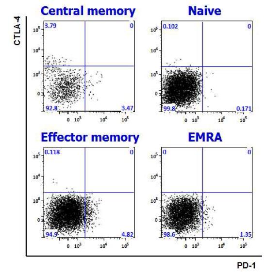 CD45RA 및 CCR7 발현양상을 기준으로 하여 CD8 T세포를 Naive, central memory, effector memory, EMRA로 구분하여 gating한 후, PD-1과 CTLA-4의 발현 양상을 분석한 결과. PD-1은 central memory 및 effector memory에서 발현하고, CTLA-4는 central memory에서 발현함. 하지만 PD-1과 CTLA-4를 동시에 발현하는 세포는 관찰되지 않음
