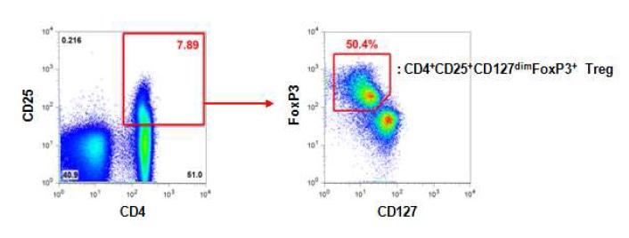 CD4+CD25+Foxp3+조절 T세포의 빈도를 조사할 때 이용한 gating 전략. 먼저 CD25+로 gating한 후 CD127dimFoxp3+ 세포의 빈도를 정해 조절 T세포의 빈도를 정함