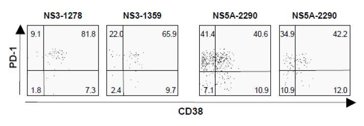 항원-특이 CD8 T세포를MHC class I tetramer로 표지한 후, PD1 및 CD38의 발현 관계를 분석함. 왼쪽 두 명의 환자는 대부분의 항원- 특이 CD8 T세포가 PD1과 CD38을 동 시에 발현하는 반면 (PD1+CD38+ ), 오 른 쪽 두 명의 환자에서는 PD1+CD38- 와 PD1+CD38+가 각각 절반을 차지함
