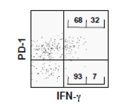 MHC class I tetramer로 항원-특이 CD8 T세포를 검출한 후 PD-1과 IFN-γ intracellular cytokine staining을 함께 시행/분석한 결과. PD-1dim T세포가 PD-1- T세포보다 IFN-γ 분비를 더 많이함