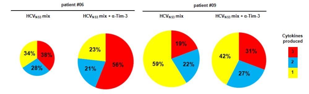 Tim-3의 기능을 항체로 차단한 결과, polyfunctional T세포의 비율이 현저히증가함. 두 환자 (patient #06과 patient #09) 모두에서 anti-Tim-3을 안 준 경우(왼쪽)에 비해 anti-Tim-3을 준 경우(오른쪽)에 IFN-γ, IL-2, TNF-α 3가지 사이토카인을 다 분비하는 세포의 비율(붉은색)과 2가지 사이토카인을 분비하는 세포의 비율(파란색)이 현저히 증가함