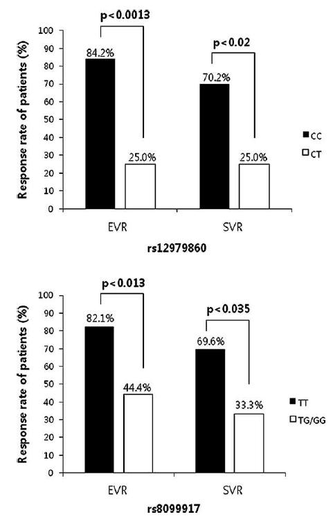 IL28B 유전자의 rs12979860 및 rs8099917 polymorphism을 분석한 결과, 각각 의 경우 CC와 TT 유전자형을 가진 환자의 경 우 EVR (early virologic response)이나 SVR (sustained virologic response)의 빈도가 유의 하게 높았음
