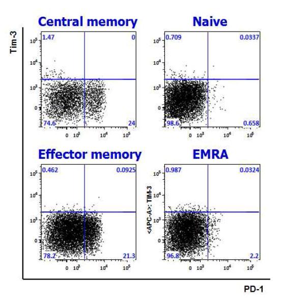 CD45RA 및 CCR7 발현양상을 기준으로 하여 CD8 T세포를 Naive, central memory, effector memory, EMRA로 구분하여 gating한 후, PD-1과 Tim-3의 발현 양상을 분석한 결과. PD-1은 central memory 및 effector memory에서 발현하고, Tim-3는 central memory에서 발현함. 하지만 PD-1과 Tim-3를 동시에 발현하는 세포는 관찰되지 않음