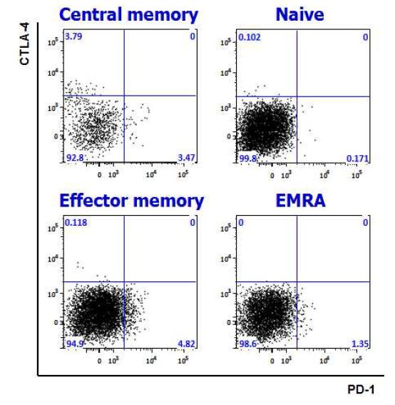 CD45RA 및 CCR7 발현양상을 기준으로 하여 CD8 T세포를 Naive, central memory, effector memory, EMRA로 구분하여 gating한 후, PD-1과 CTLA-4의 발현 양상을 분석한 결과. PD-1은 central memory 및 effector memory에서 발현하고, CTLA-4는 central memory에서 발현함. 하지만 PD-1과 CTLA-4를 동시에 발현하는 세포는 관찰되지 않음
