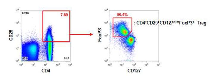 CD4+CD25+Foxp3+조절 T세포의 빈도를 조사할 때 이용한 gating 전략. 먼저 CD25+로 gating한 후 CD127dimFoxp3+ 세포의 빈도를 정해 조절 T세포의 빈도를 정함
