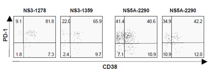 항원-특이 CD8 T세포를MHC class I tetramer로 표지한 후, PD1 및 CD38의 발현 관계를 분석함. 왼쪽 두 명의 환자는 대부분의 항원- 특이 CD8 T세포가 PD1과 CD38을 동 시에 발현하는 반면 (PD1+CD38+ ), 오 른 쪽 두 명의 환자에서는 PD1+CD38- 와 PD1+CD38+가 각각 절반을 차지함