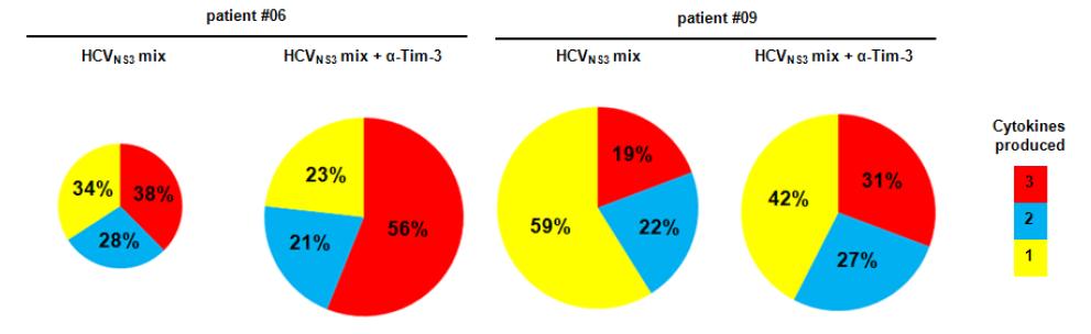 Tim-3의 기능을 항체로 차단한 결과, polyfunctional T세포의 비율이 현저히증가함. 두 환자 (patient #06과 patient #09) 모두에서 anti-Tim-3을 안 준 경우(왼쪽)에 비해 anti-Tim-3을 준 경우(오른쪽)에 IFN-γ, IL-2, TNF-α 3가지 사이토카인을 다 분비하는 세포의 비율(붉은색)과 2가지 사이토카인을 분비하는 세포의 비율(파란색)이 현저히 증가함