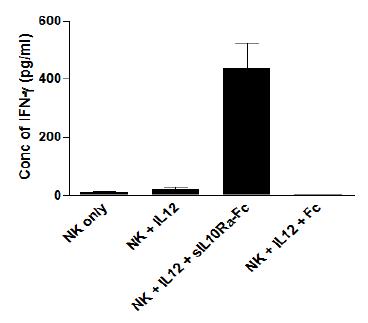사람 NK세포를 분리한 후, IL-12로 자극을주어 IFN-γ 생성을 유도하면서, soluble IL10Rα-Fc를 같이 처리하면 IFN-γ의 생성이 유의하게 증가함. 이는 soluble IL10Rα-Fc가 NK세포의 항-바이러스 기능을 증강시키는 효과도 있음을 나타냄