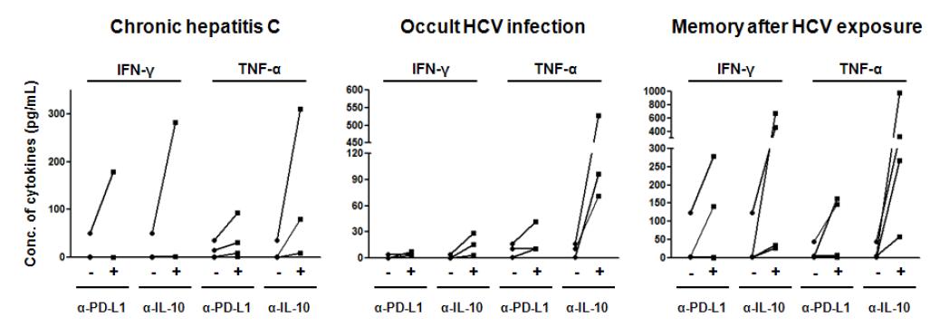 만성 C형간염(chronic hepatitis C), 잠복성 HCV 감염 (occult HCV infection), HCV 노출 후기억 T세포반응 보유군(memory after HCV exposure)의 PBMC를 이용하여 T세포 억제-차단 시험법을 시행한 결과.