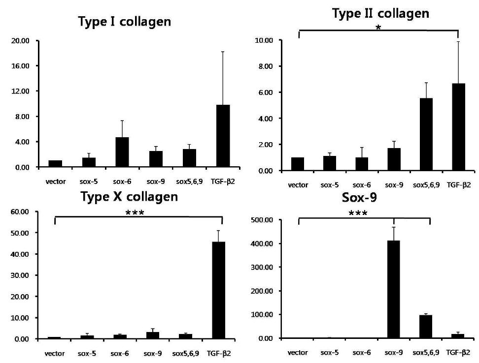 RQ-PCR