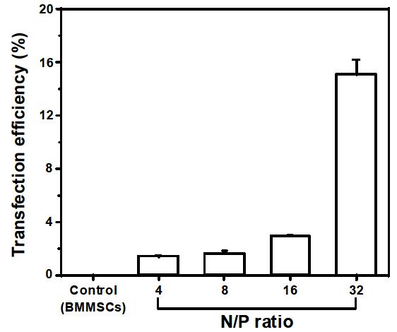 다양한 N/P ratio를 가지는 plasmid DNA/PEI complex의 세포 내 이입효율 (FACS).