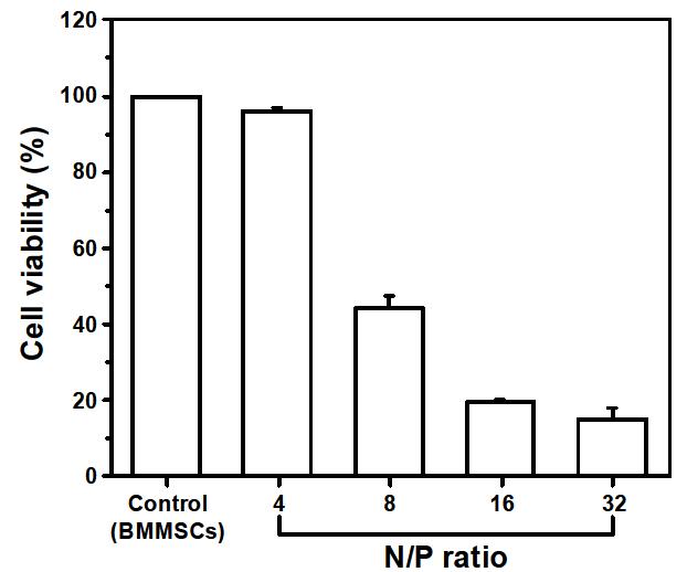 양한 N/P ratio를 가지는 plasmid DNA/PEI complex의 세포 독성 (MTT assay).