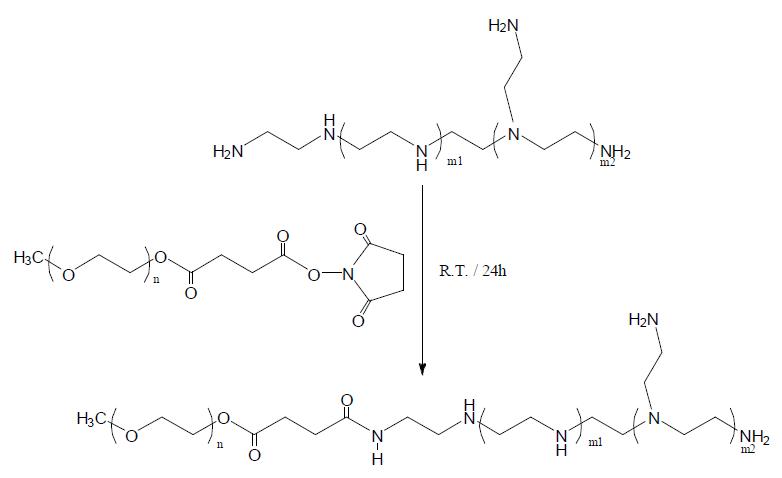 PEI-PEG 공중합체의 합성 모식도.
