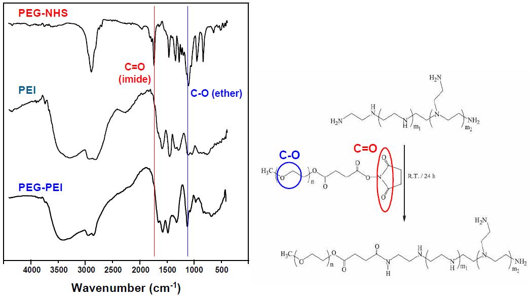 PEG-NHS, PEI 및 합성된 PEI-PEG의 FT-IR spectrum.