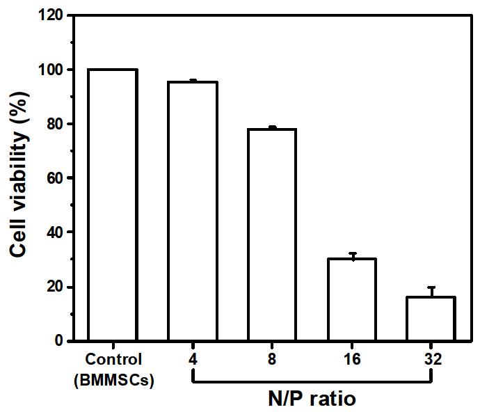 양한 N/P ratio를 가지는 plasmid DNA/PEI-PEG complex의 세포 독성(MTT assay).